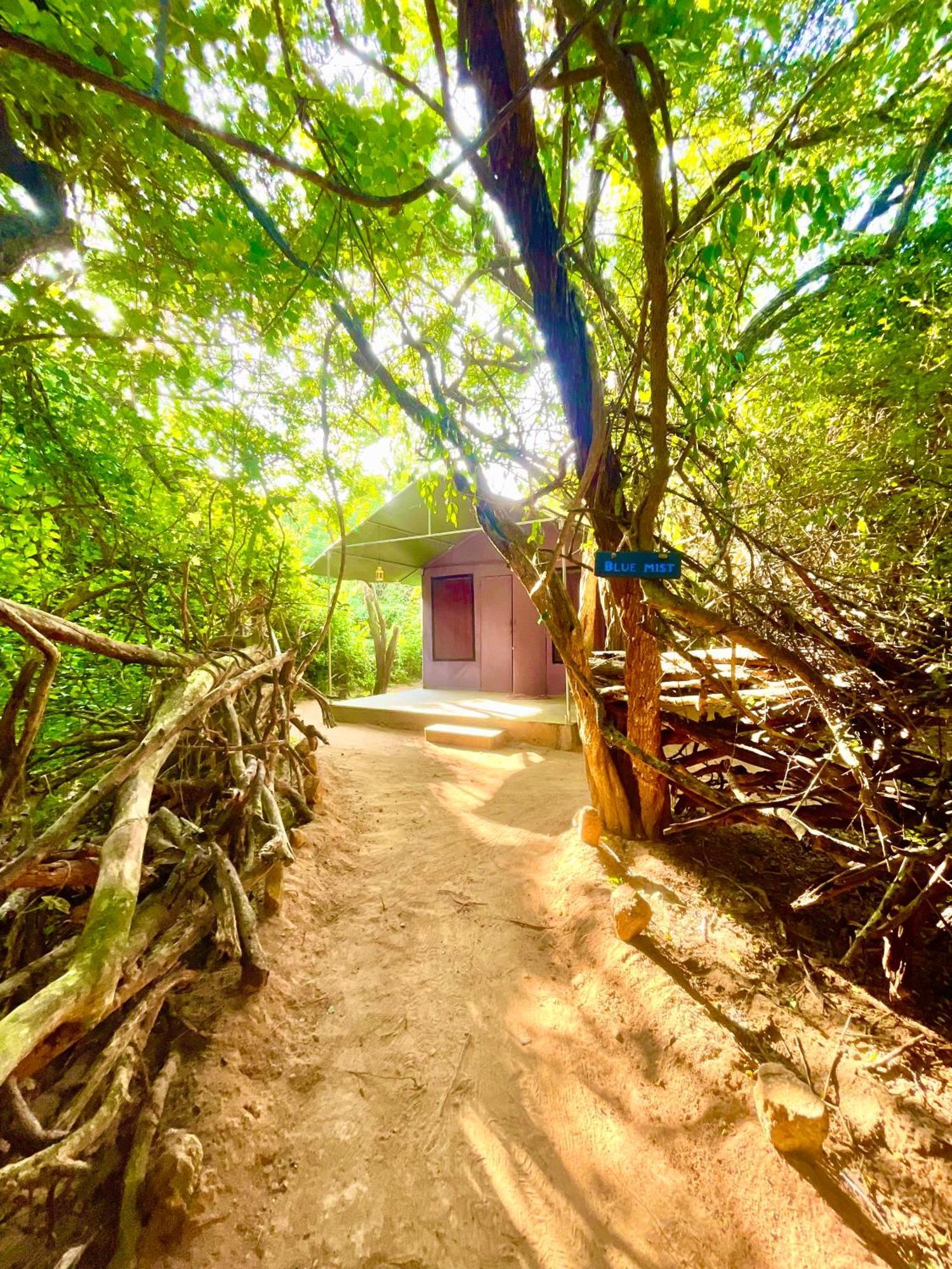 Отель Yala Eco Bush Camp Экстерьер фото